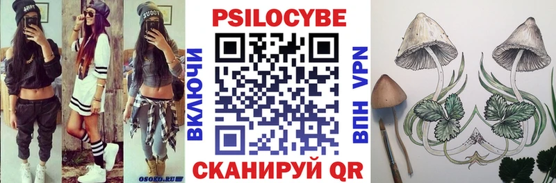 Галлюциногенные грибы Cubensis  Спас-Клепики 